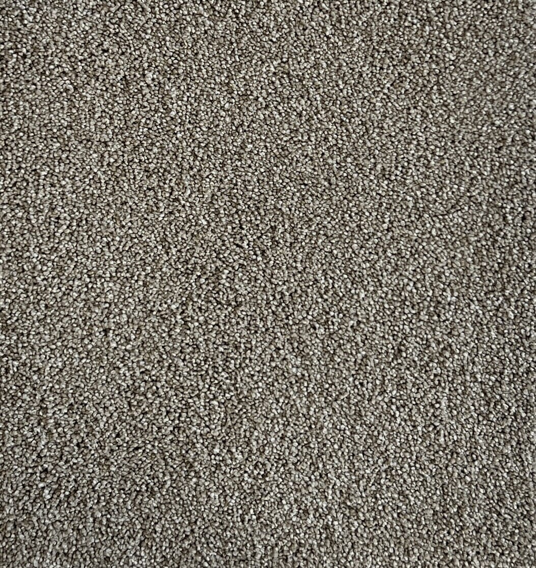 Star Struck Mushroom