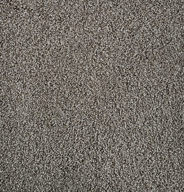 Star Struck Raw Umber