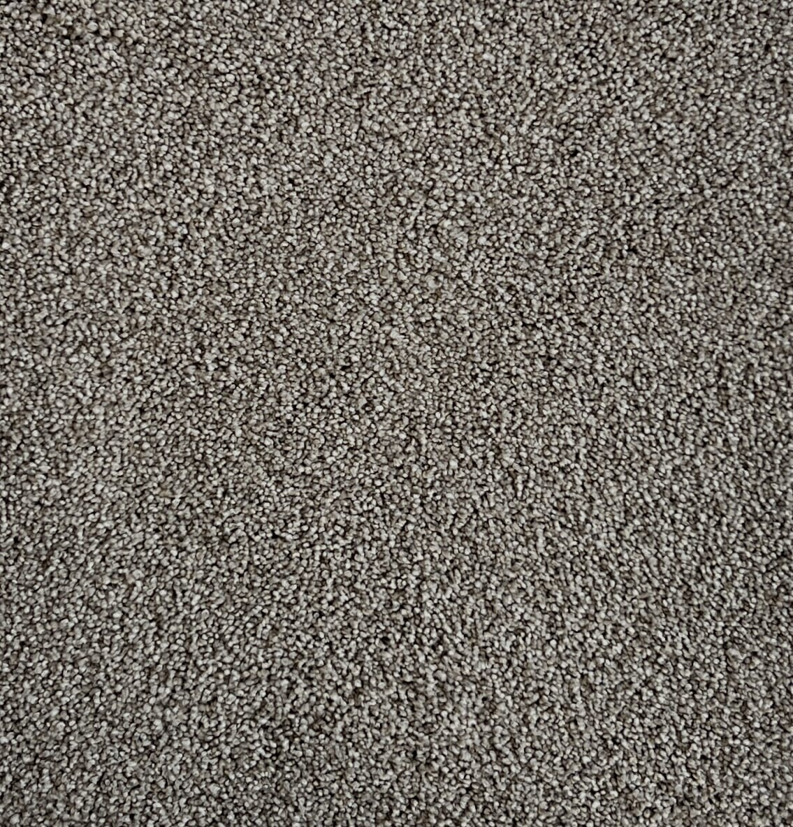 Star Struck Raw Umber