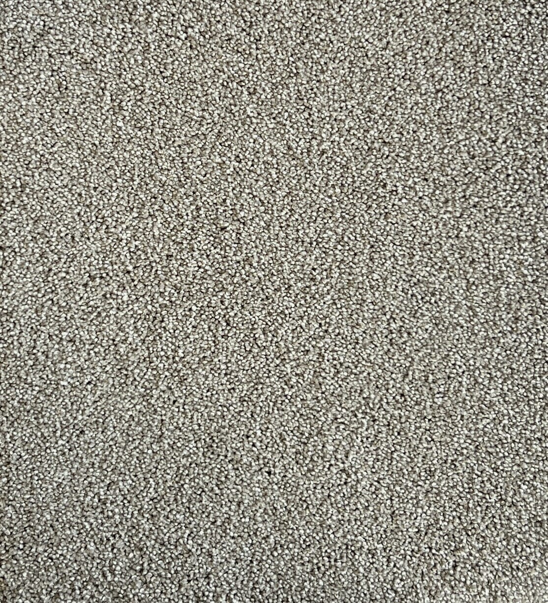 Star Struck Shoreliner