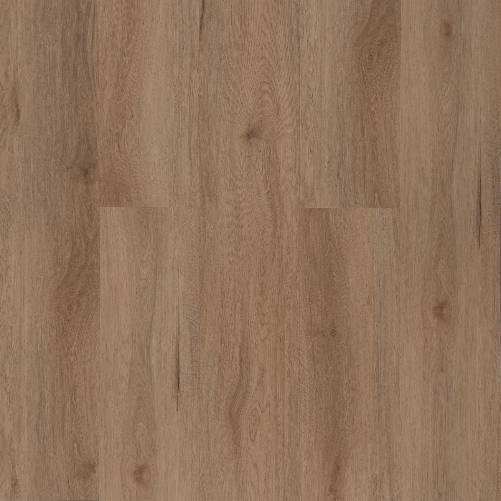 Sterling Coastal Spotted Gum
