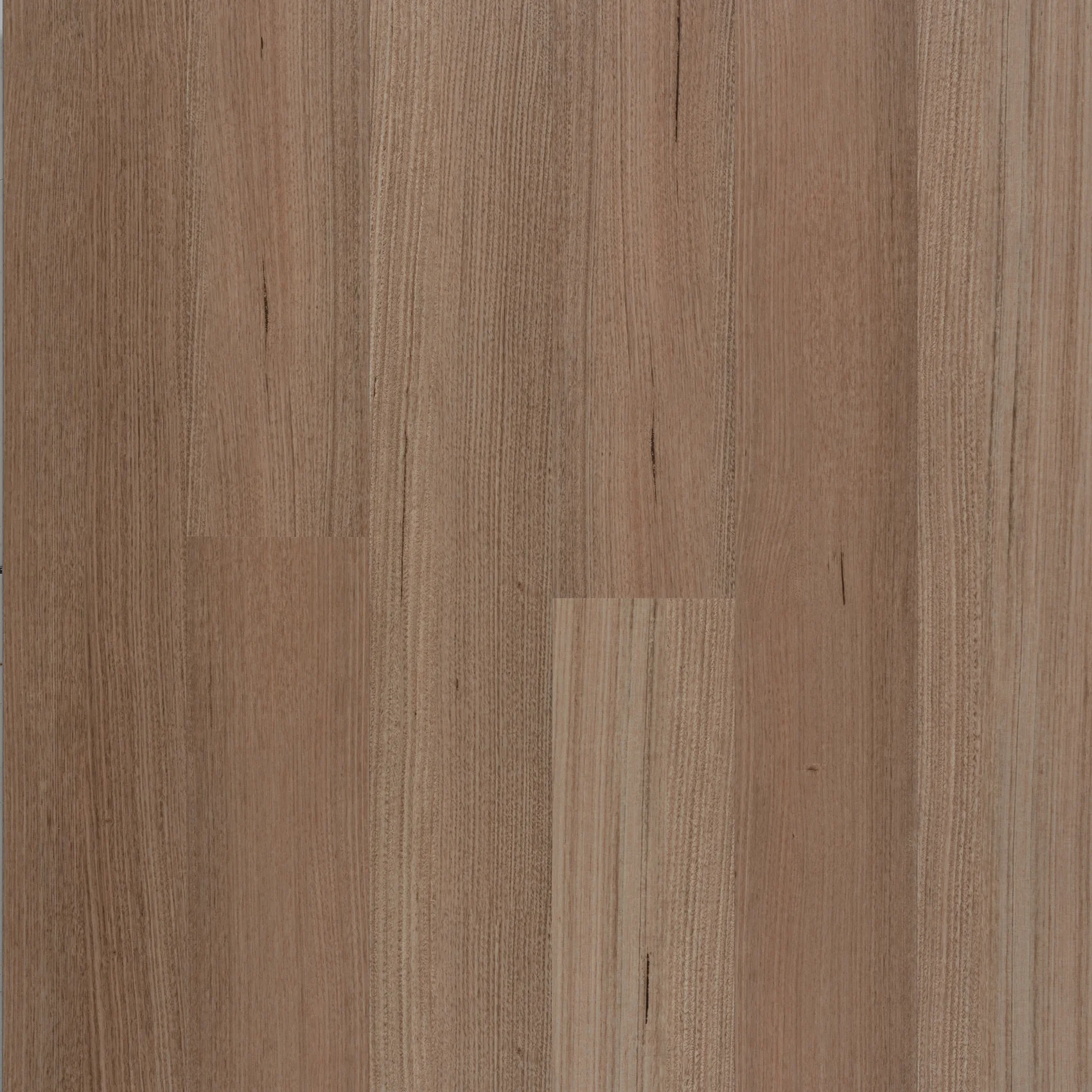 Sterling Tasmania Oak