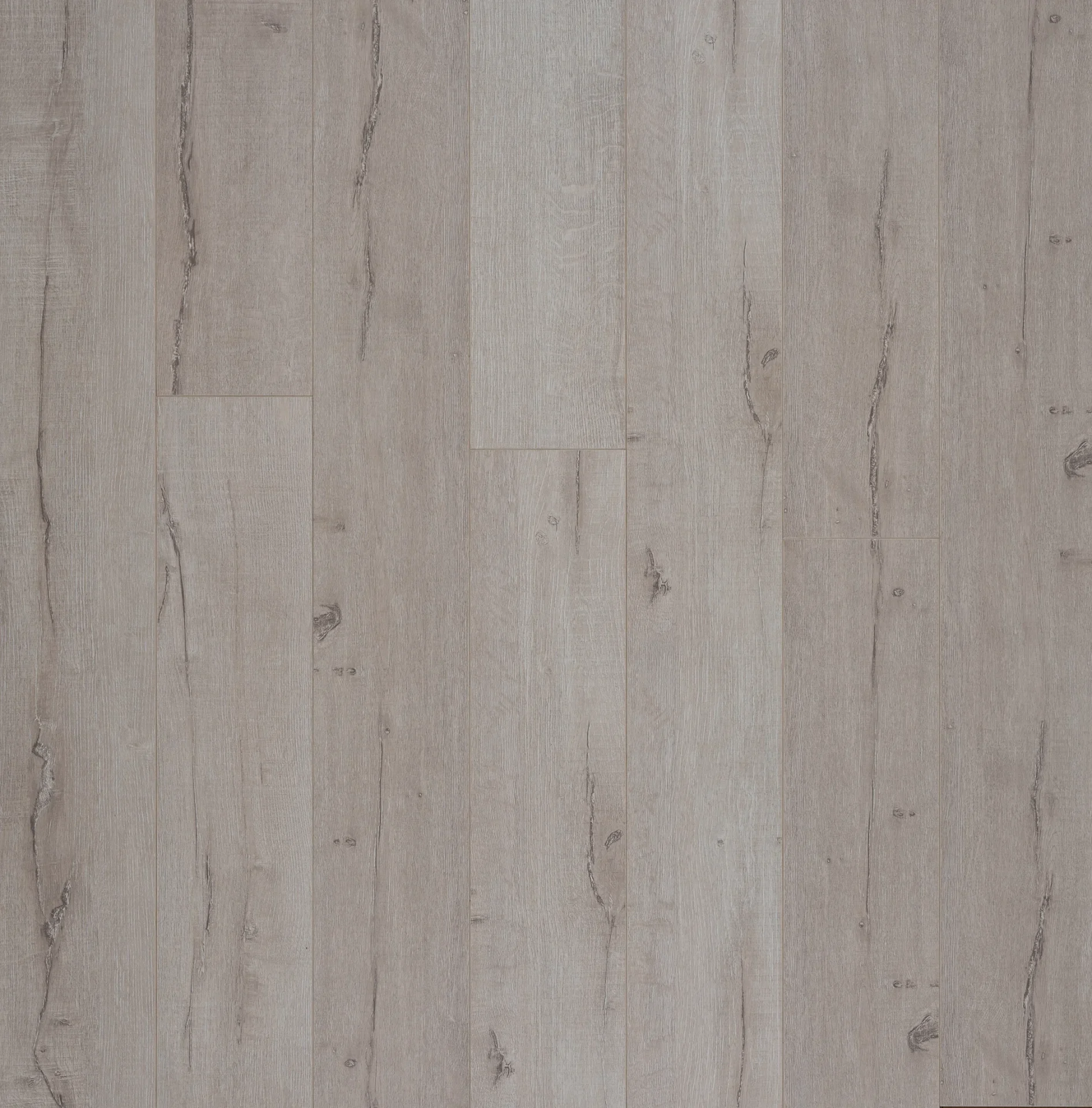 Summit 12mm Royal Oak