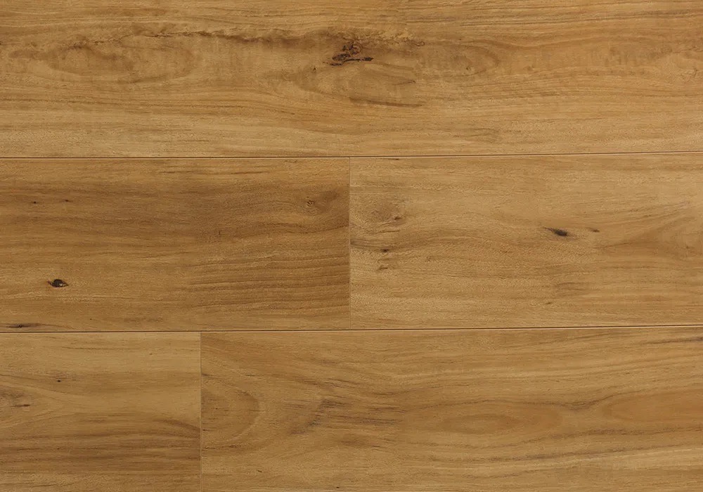 Swish Laminate Aqua Blackbutt Large