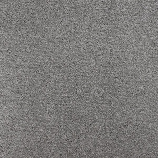 Best Carpet For Pets: A Complete Guide For Dog & Cat Owners 3 Tarja carpet in Maverick featuring a durable twist pile construction suitable for busy family homes with pets.