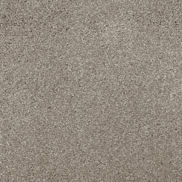Best Carpet For Pets: A Complete Guide For Dog & Cat Owners 2 Tarja carpet in Sunrise with a multi-tonal appearance designed to suit busy homes with pets.