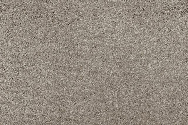 Tarja carpet in Sunrise with a multi-tonal appearance designed to suit busy homes with pets.