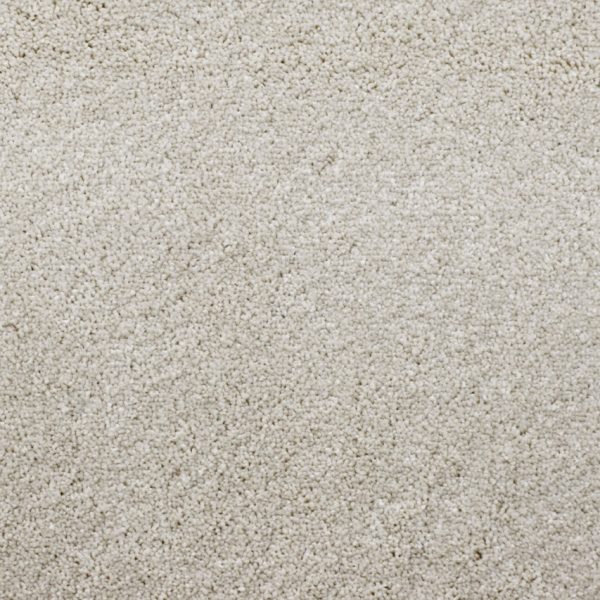 Best Carpet For Pets: A Complete Guide For Dog & Cat Owners 1 Tarja carpet in Summit showcasing a practical twist pile design that helps disguise everyday traffic and wear.