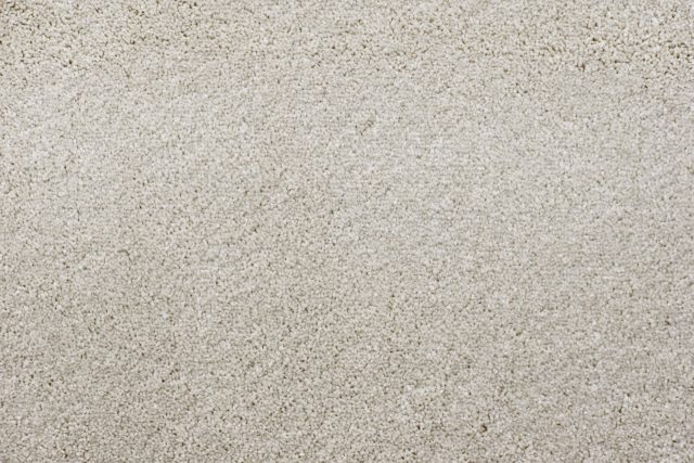 Tarja carpet in Summit showcasing a practical twist pile design that helps disguise everyday traffic and wear.
