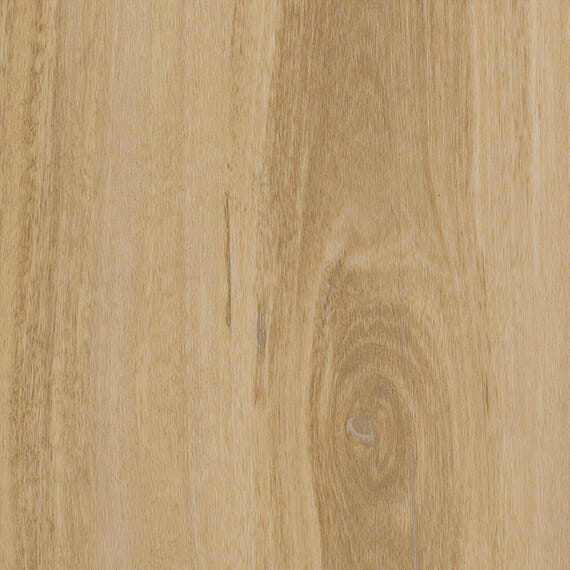 Timbarra Dusty Spotted Gum