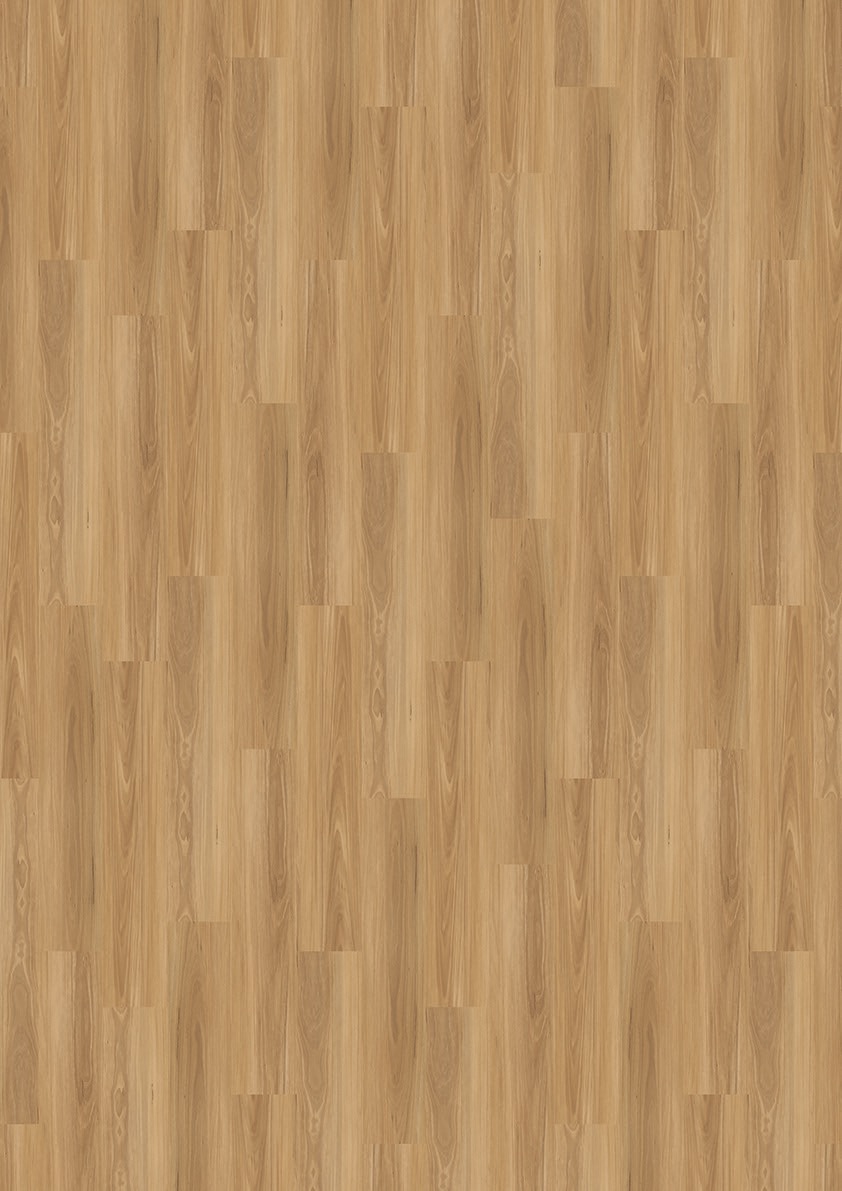 Timberland 2.5 Coastal Blackbutt Large