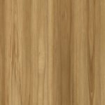 Timberland Blackbutt