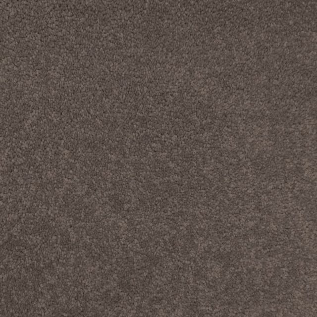 Touch Of Luxury Taupe Strand
