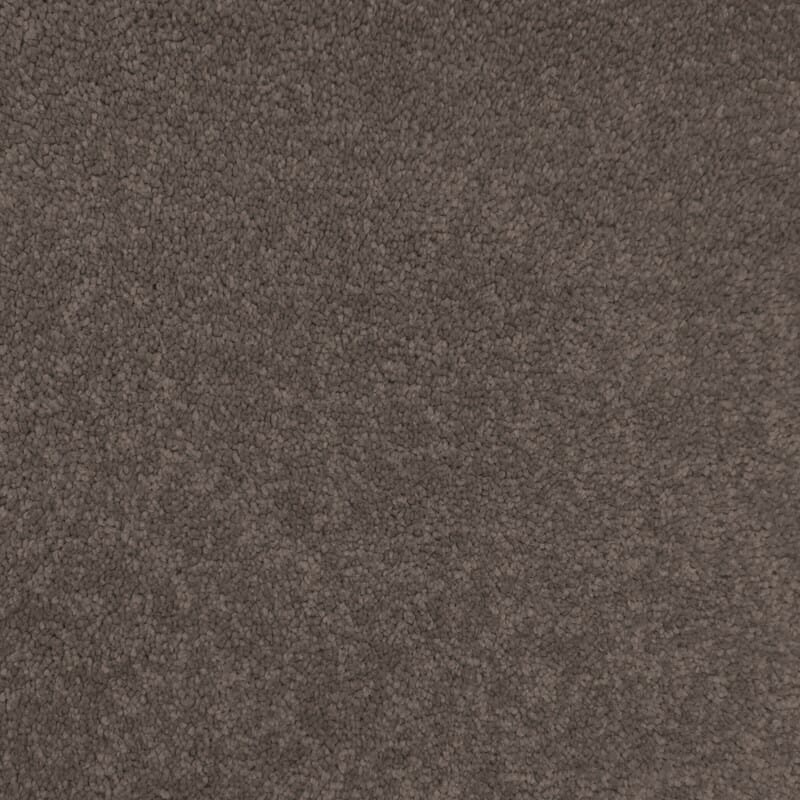 Touch Of Luxury Taupe Strand