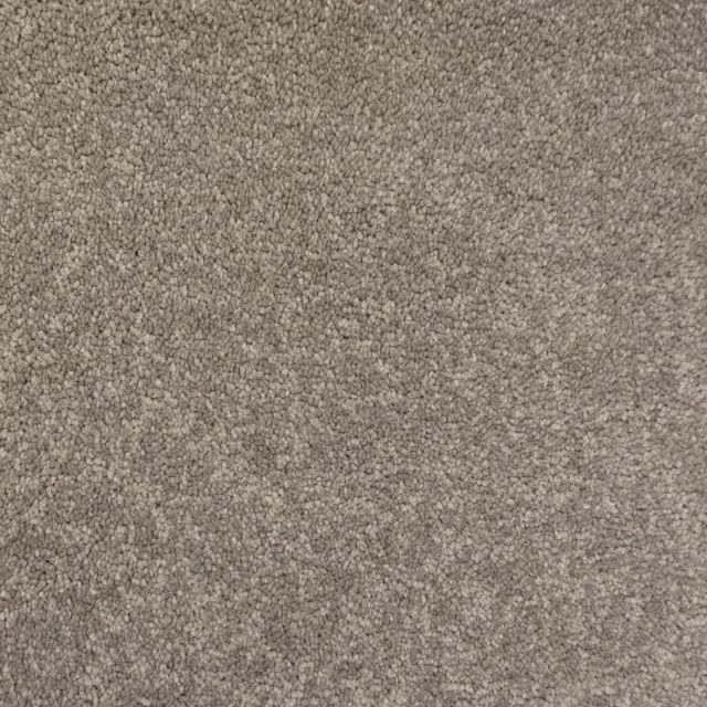 Touch Of Paradise Beige Grey
