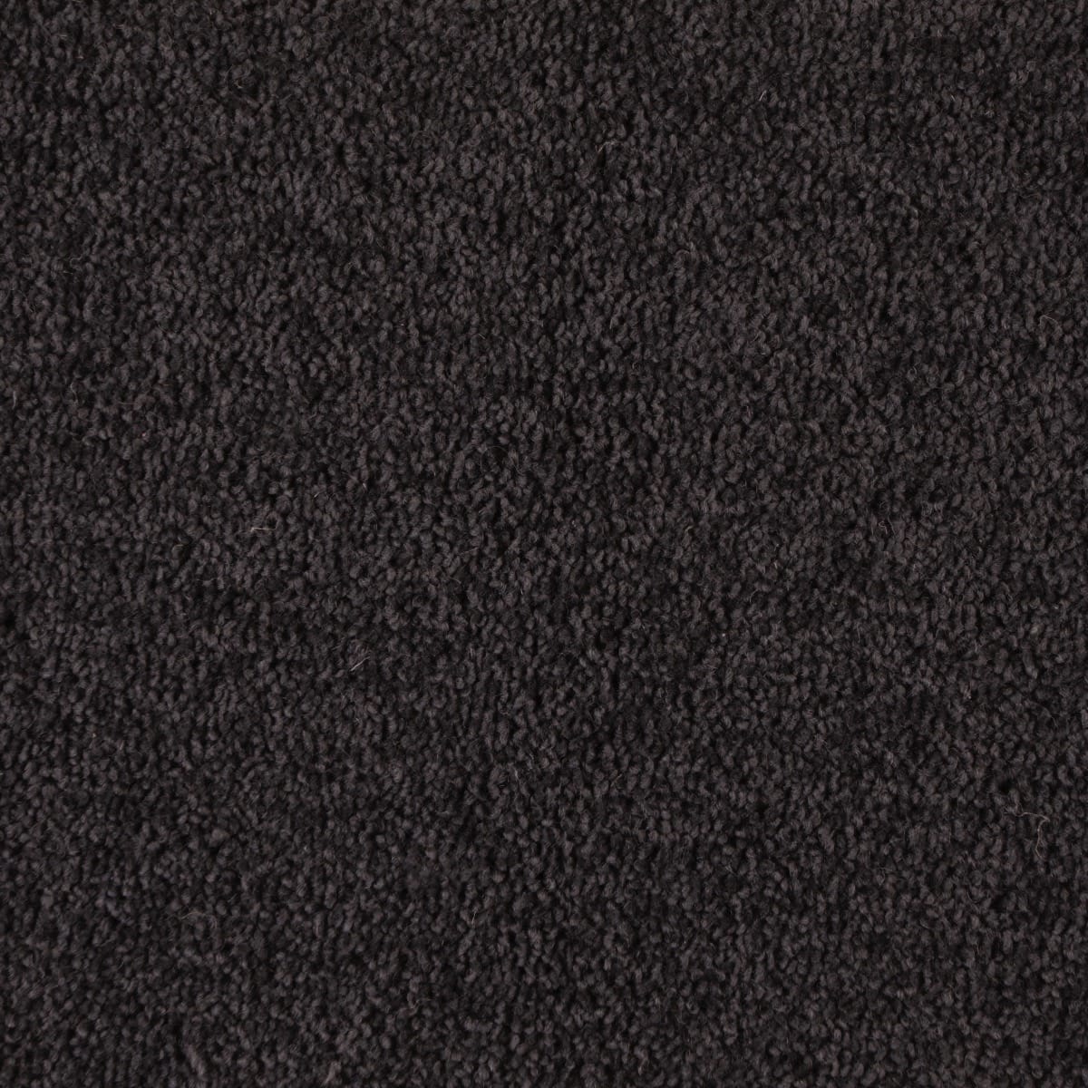 Tudo Twist Supreme Lionheart Large