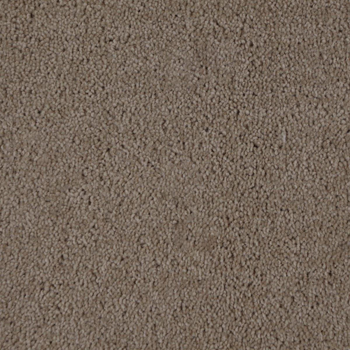 Tudo Twist Supreme Saints Large