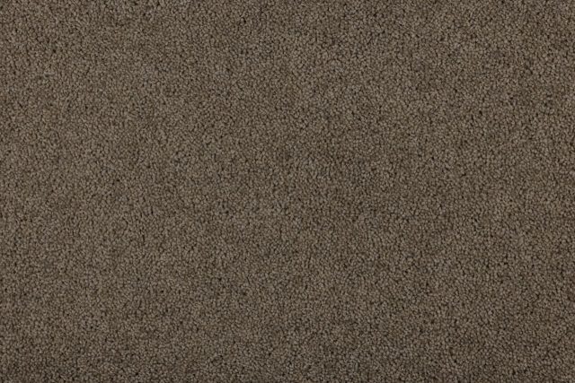 Tudo Twist Supreme Templar Large