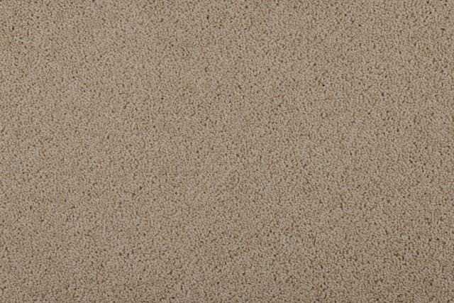 Tullibrook Amazon Medium