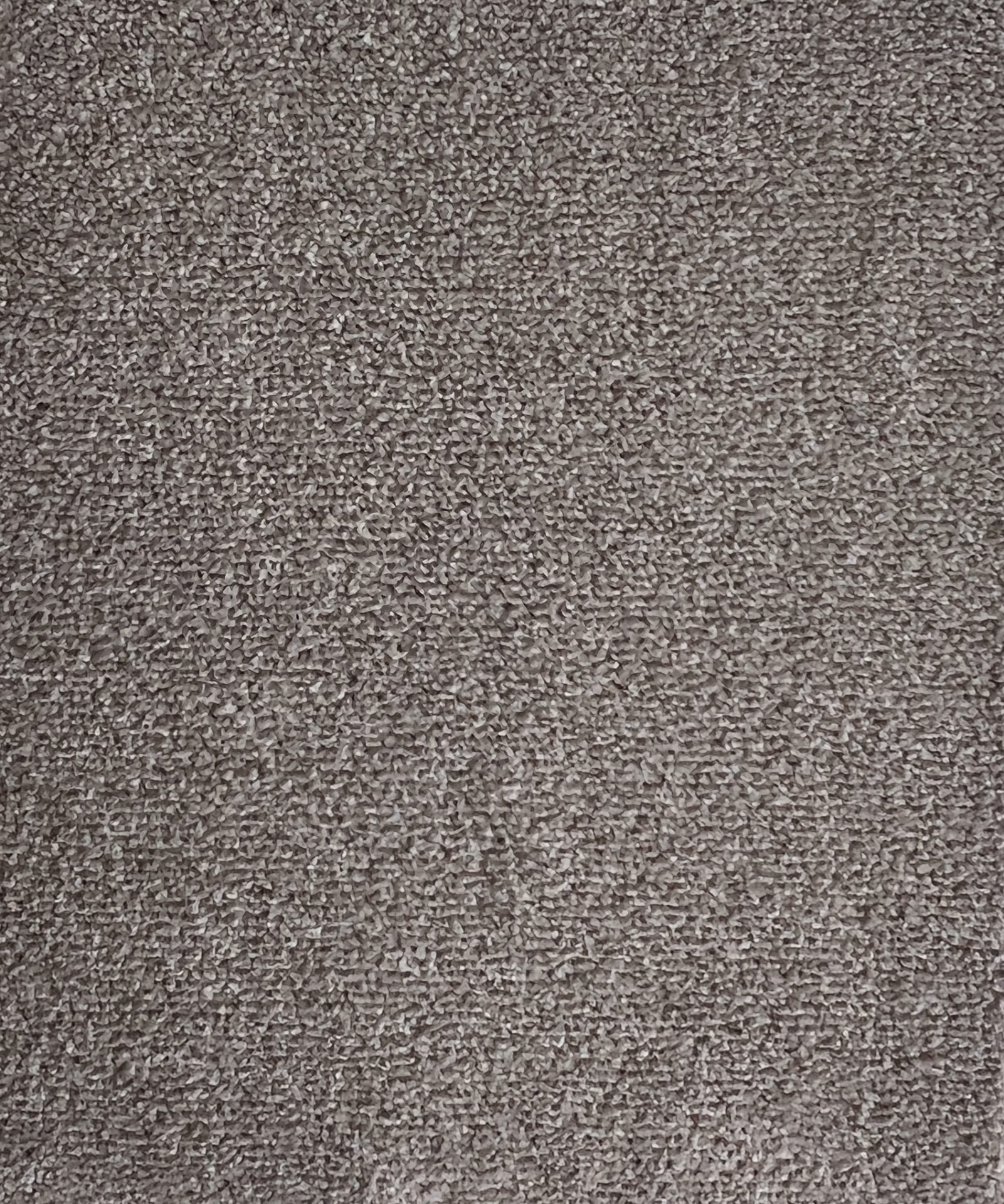 Twisted Sister Col. Coastal