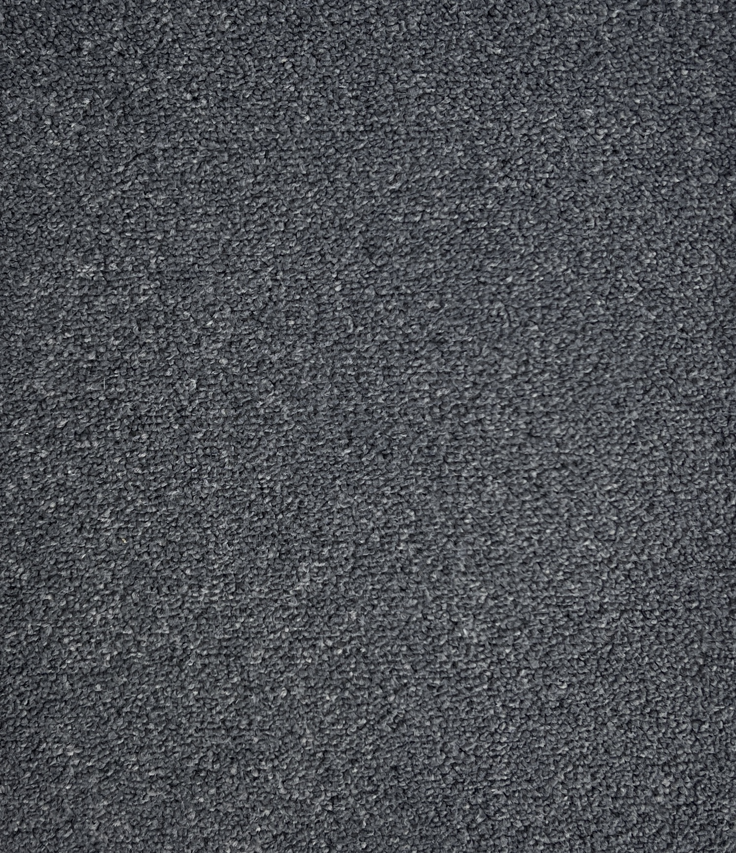 Twisted Sister Col. Gunmetal