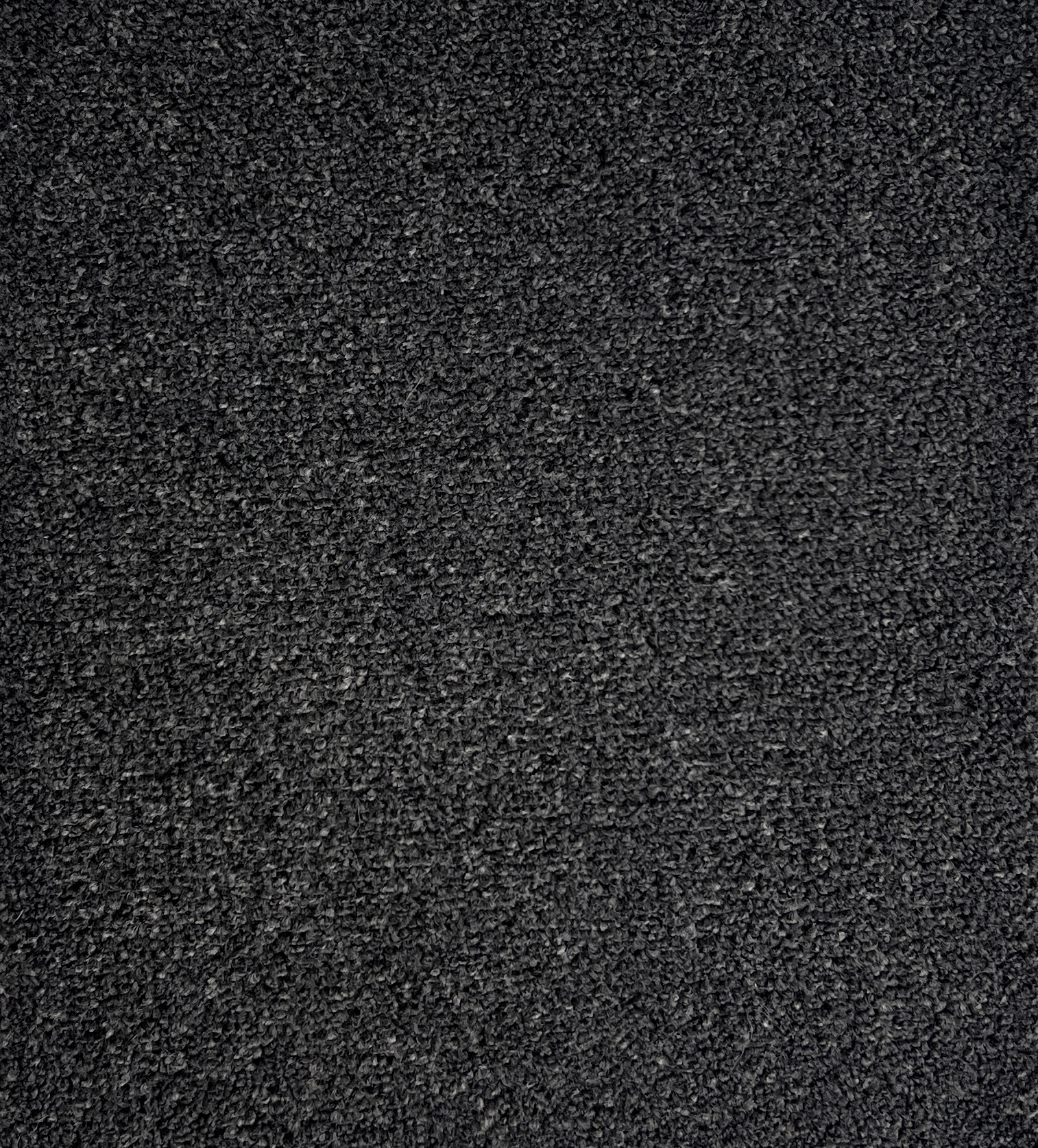 Twisted Sister Col. Shadow