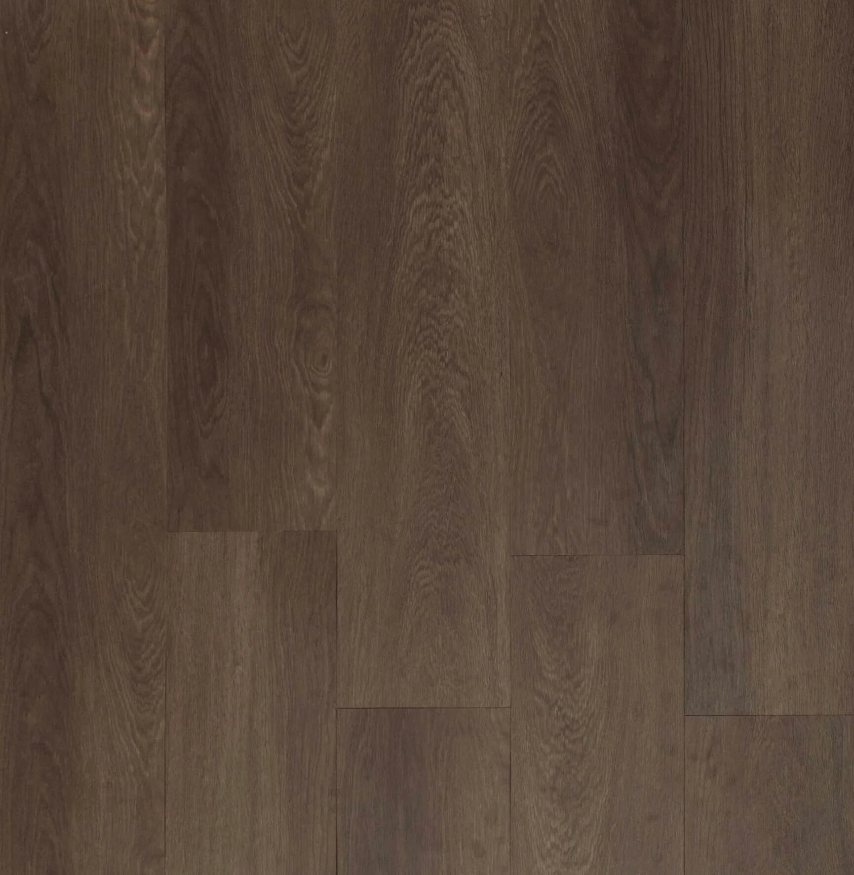 Vision Saddle Oak