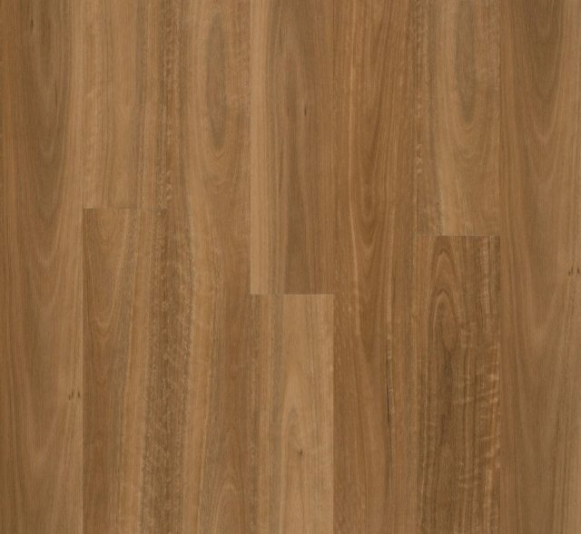 Vision Spotted Gum