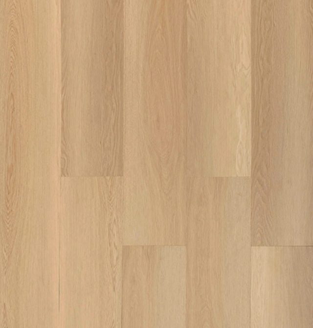 Vision Spring Oak