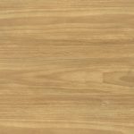 Vista 545 Eastern Blackbutt