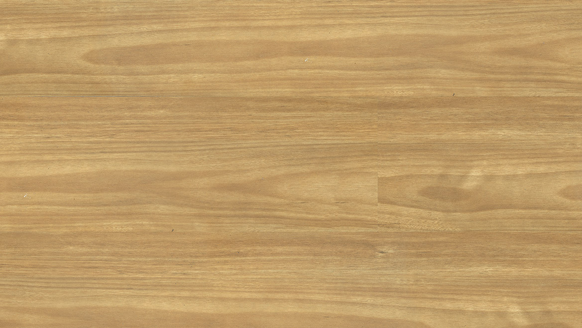 Vista 545 Eastern Blackbutt