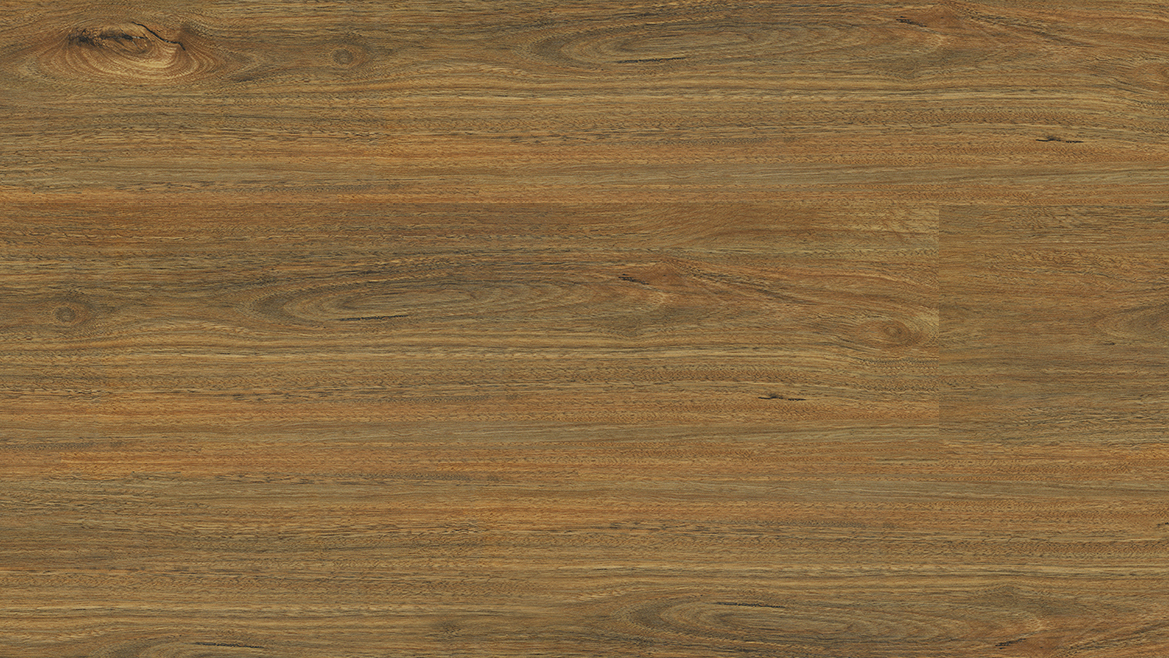 Vista 555 Spotted Gum