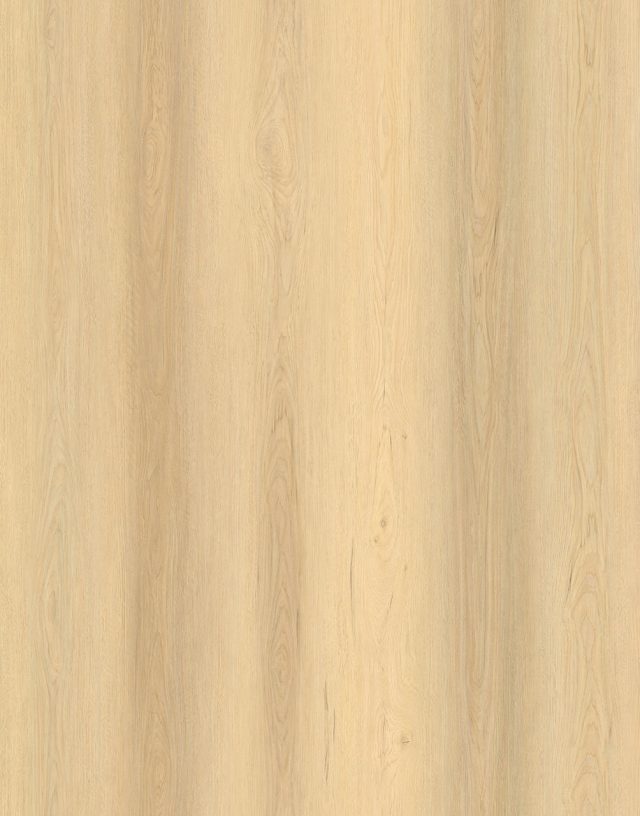 Vista1500 500 Sand Large