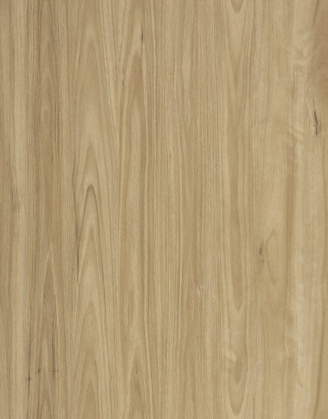 Vista1500 525 Alpine Blackbutt Large