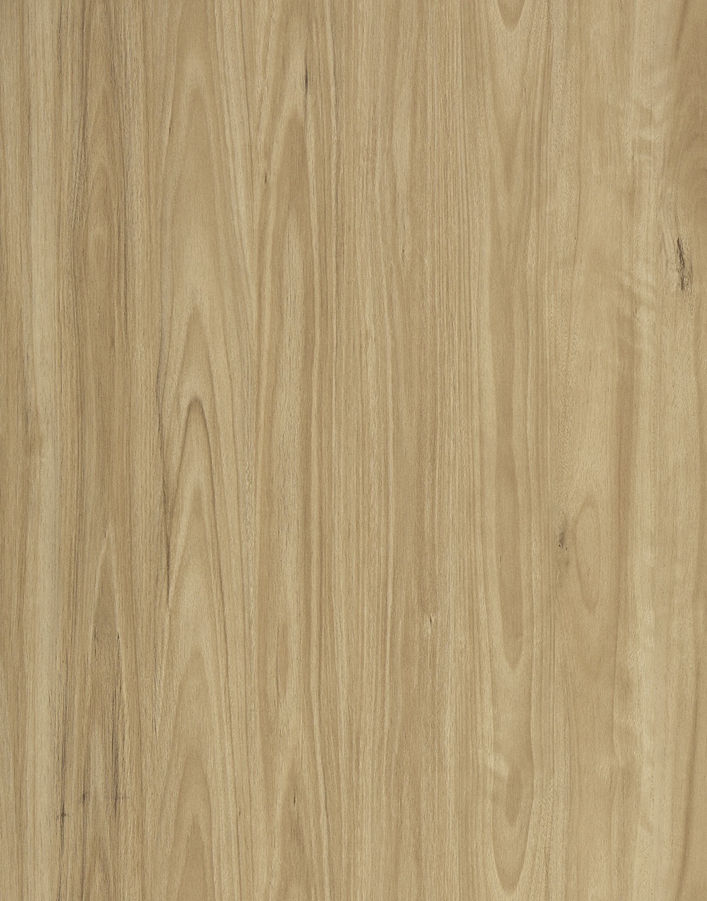 Vista1500 525 Alpine Blackbutt Large