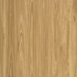 Vista1500 545 Blackbutt Large