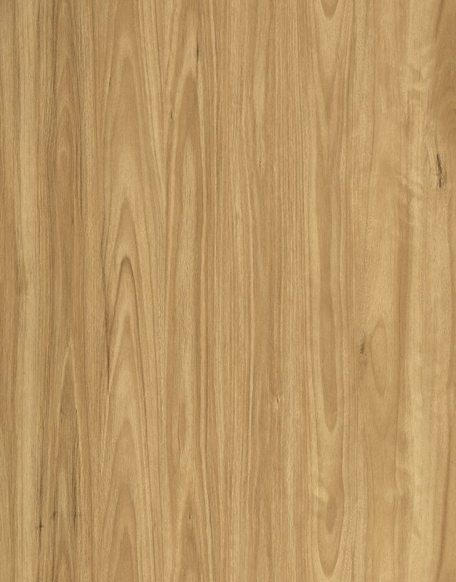 Vista1500 545 Blackbutt Large