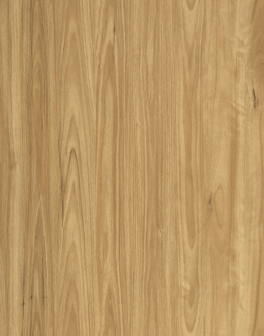 Vista1500 545 Blackbutt Large