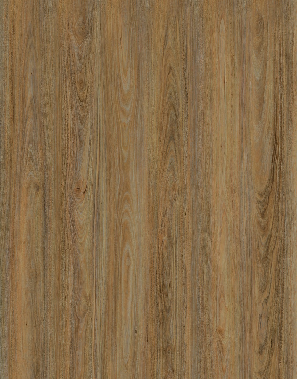 Vista1500 555 Spotted Gum Large