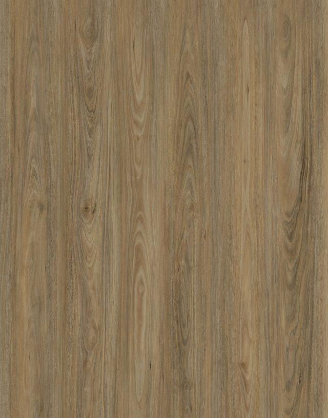 Vista1500 585 Mallee Gum Large