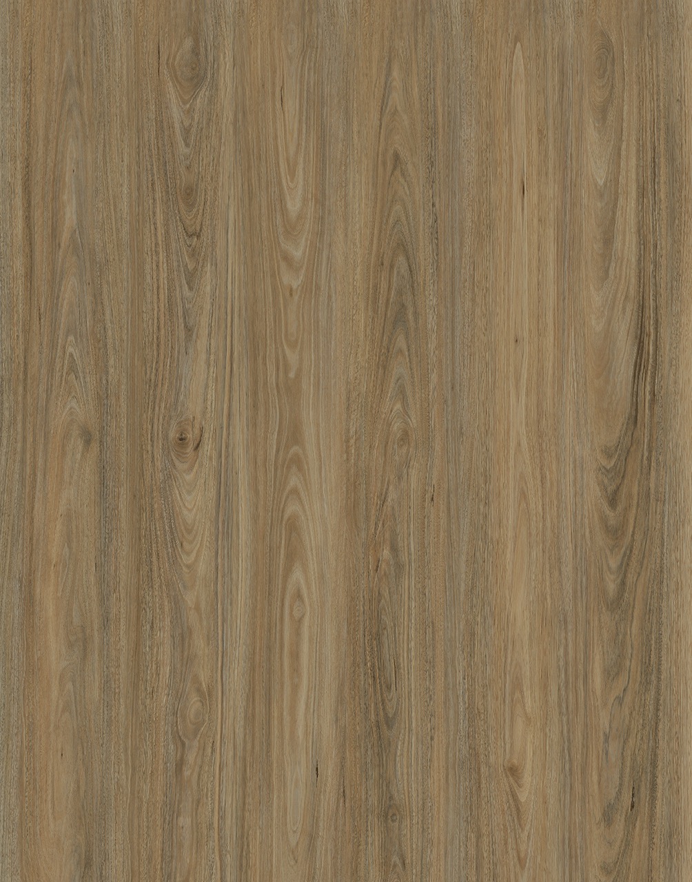 Vista1500 585 Mallee Gum Large