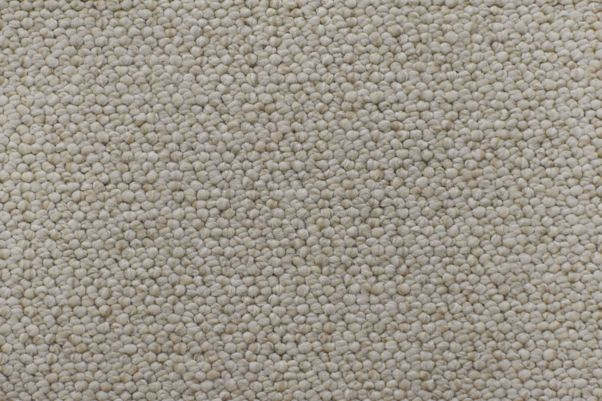 Westbourne Park Carpet