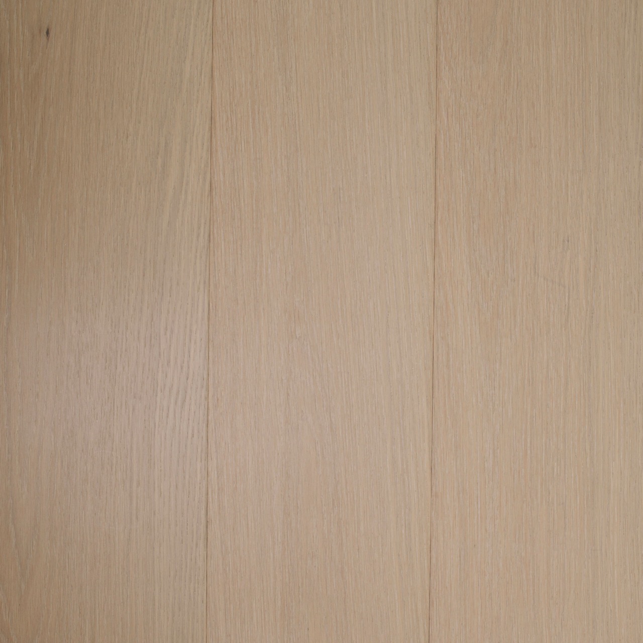 Whitehaven Astor Large