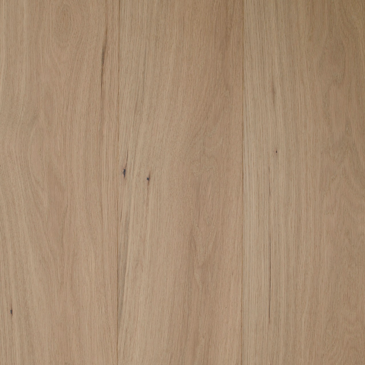 Light oak timber flooring available now from Beare Flooring.