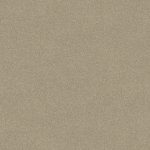 Wild River Claystone