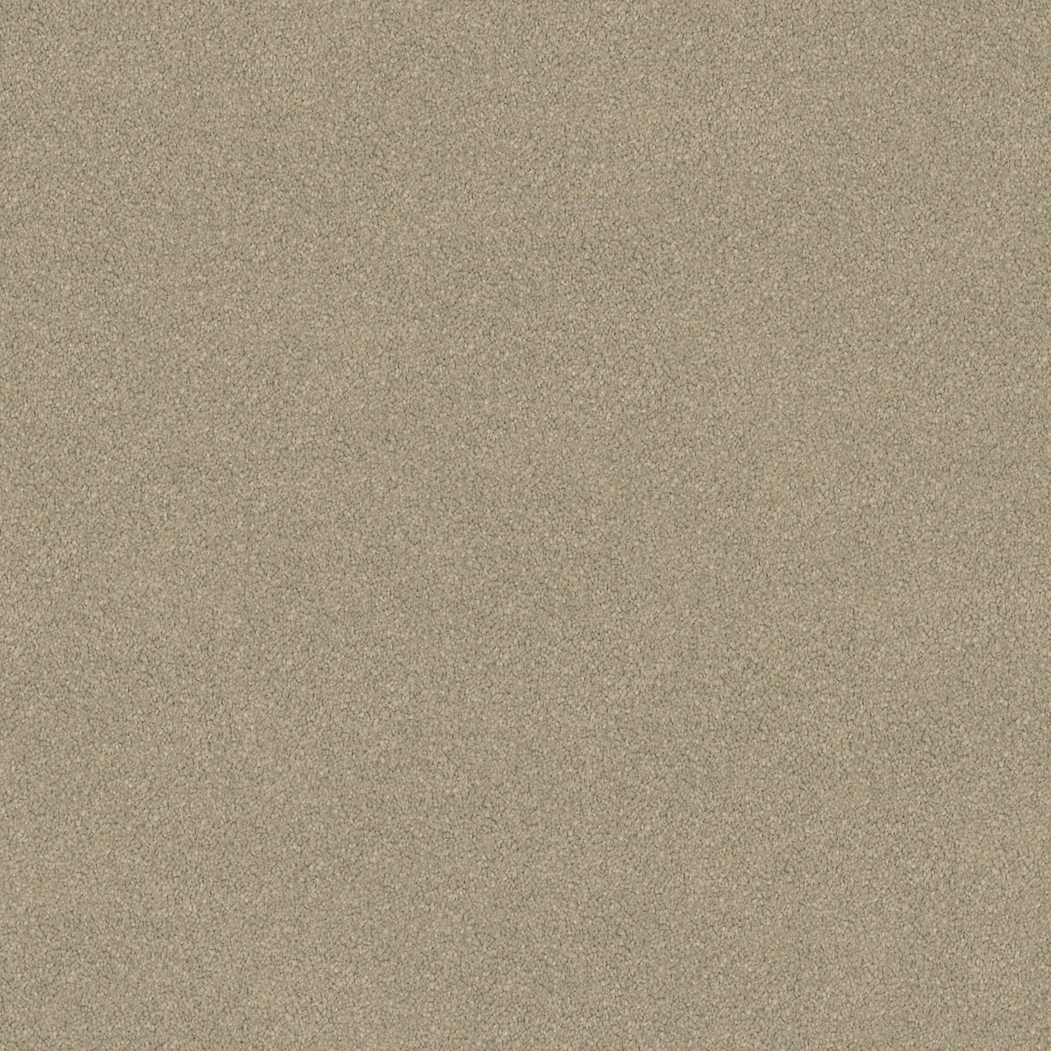 Wild River Claystone