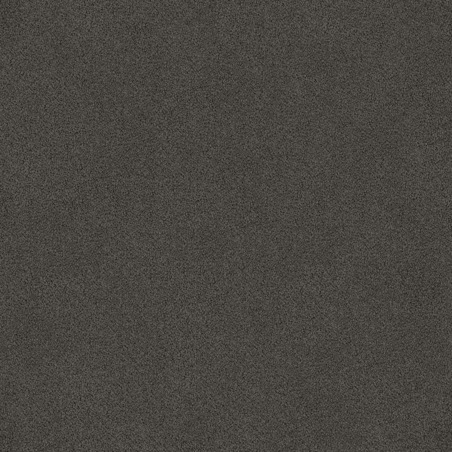 Wild River Heavy Metal