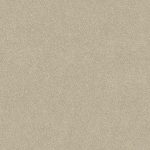 Wild River Tan Stipple