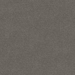 Wild River Whale Stipple